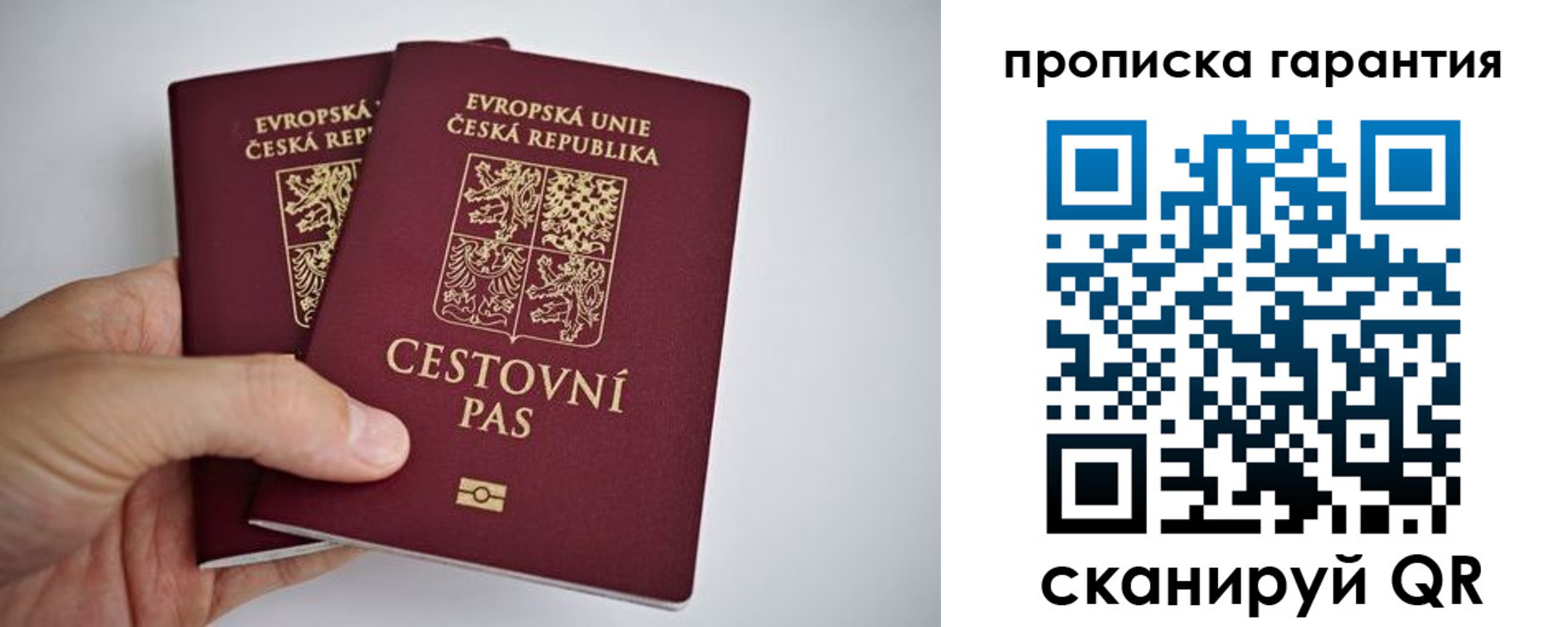 прописка в Мордовии